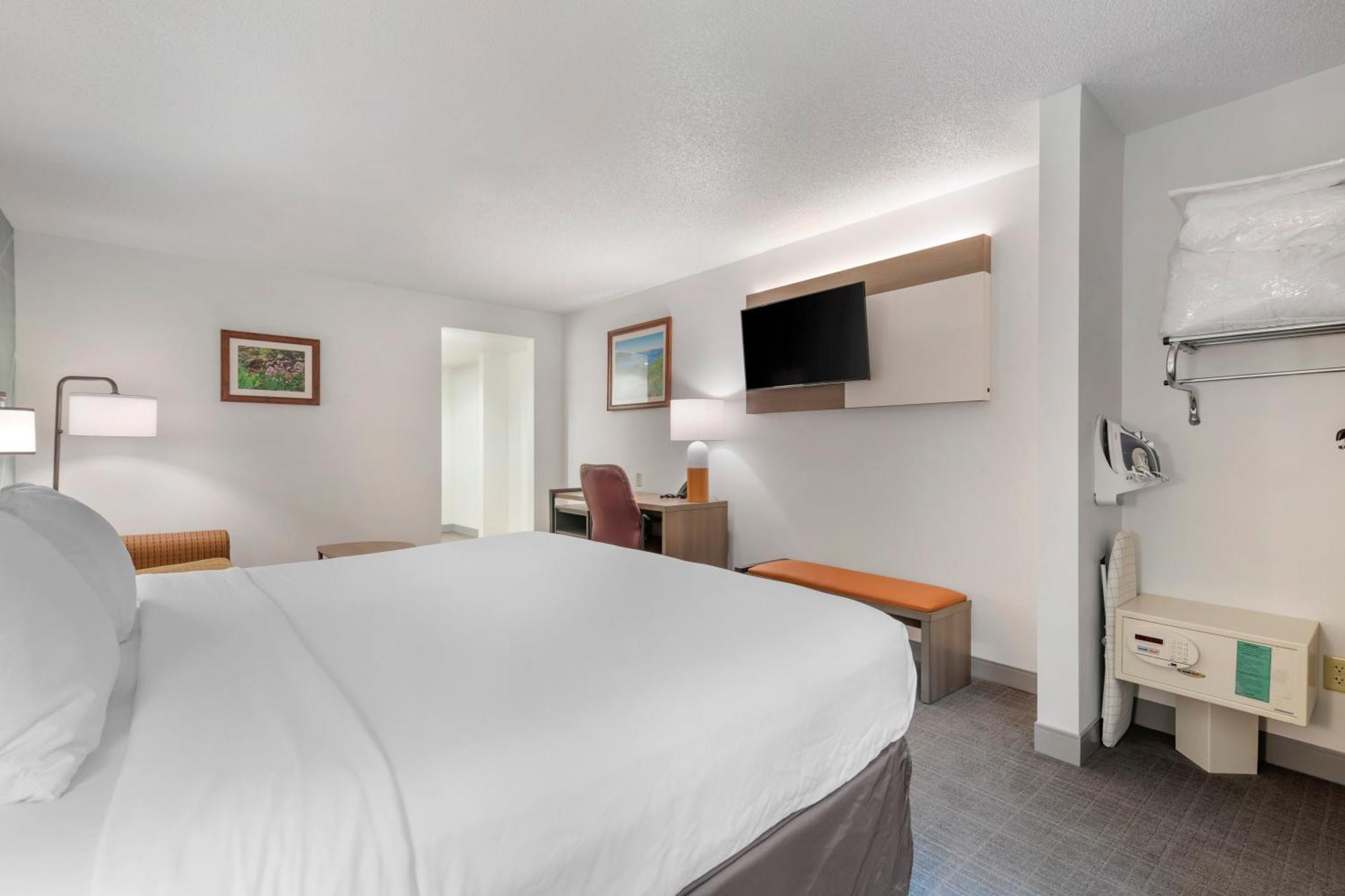 King Room with Roll-In Shower and Sofa Bed - Accessible/Non-Smoking