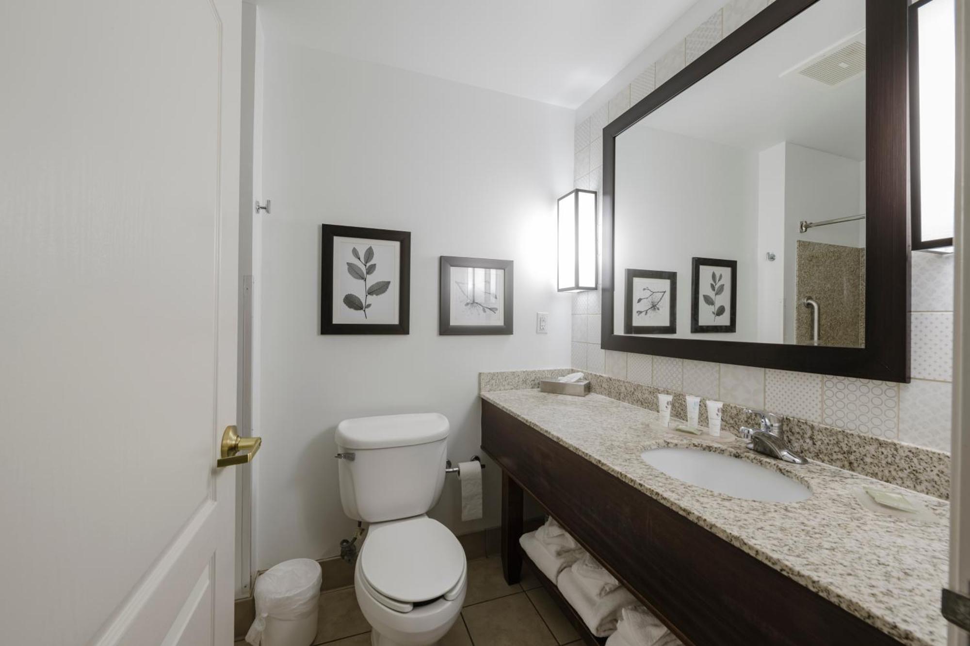 King Room Disability Access