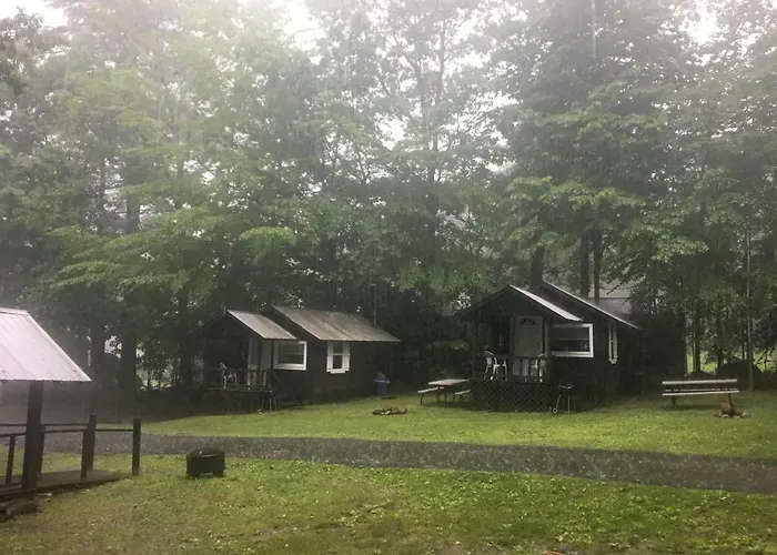 Lake George Bear'S Den