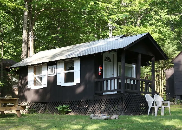 Lake George Bear'S Den