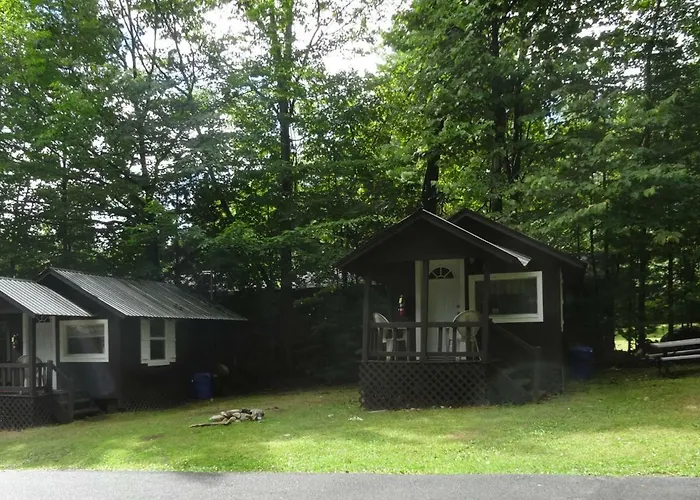 Lake George Bear'S Den
